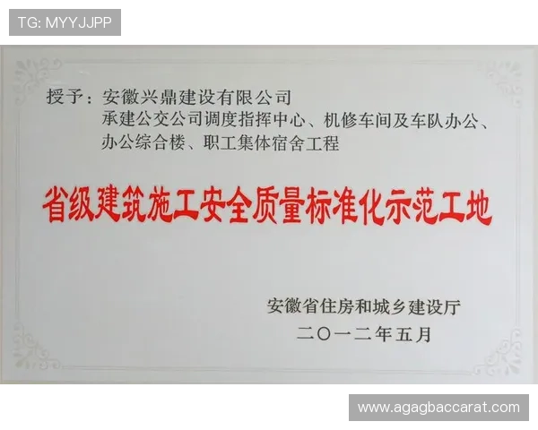 PM视讯官网安全保障措施详解，保障玩家个人信息与资金安全的实用技巧与建议